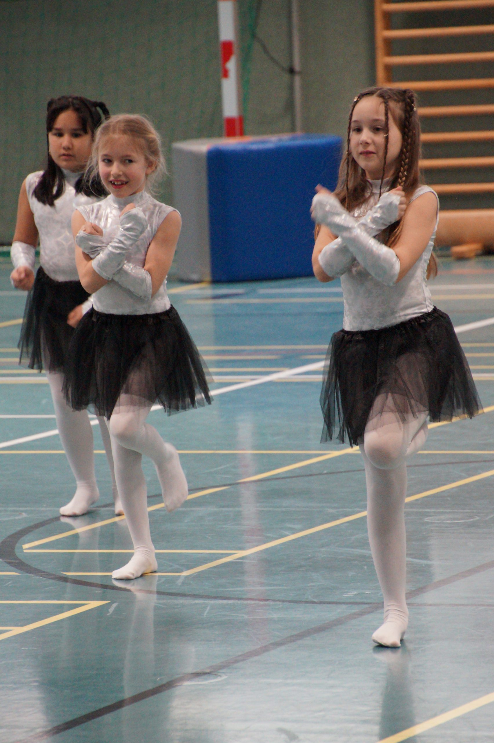 290 - DSC03754
